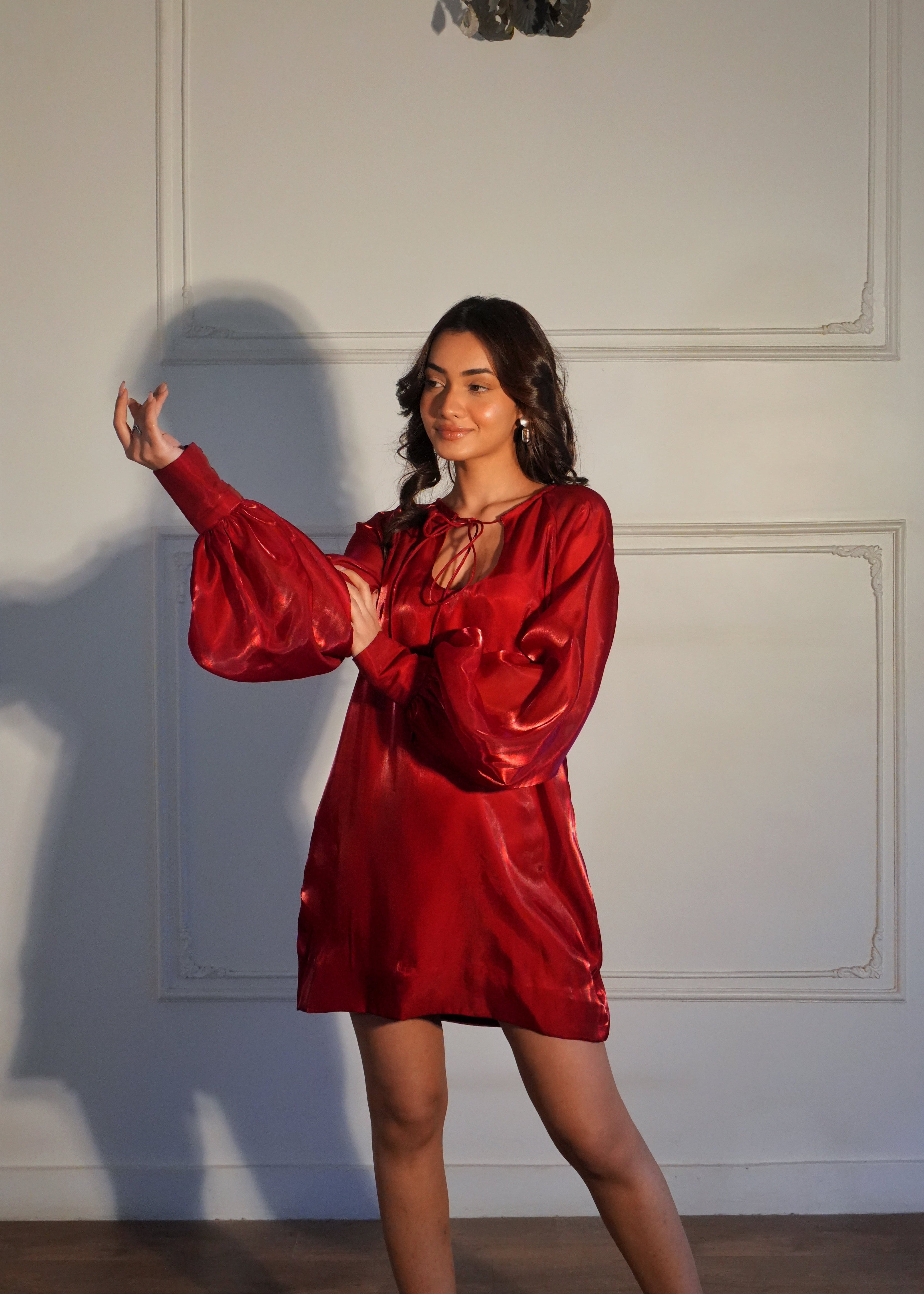 Nancy Red Organza Dress