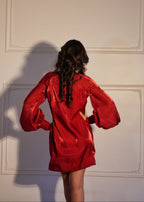 Nancy Red Organza Dress