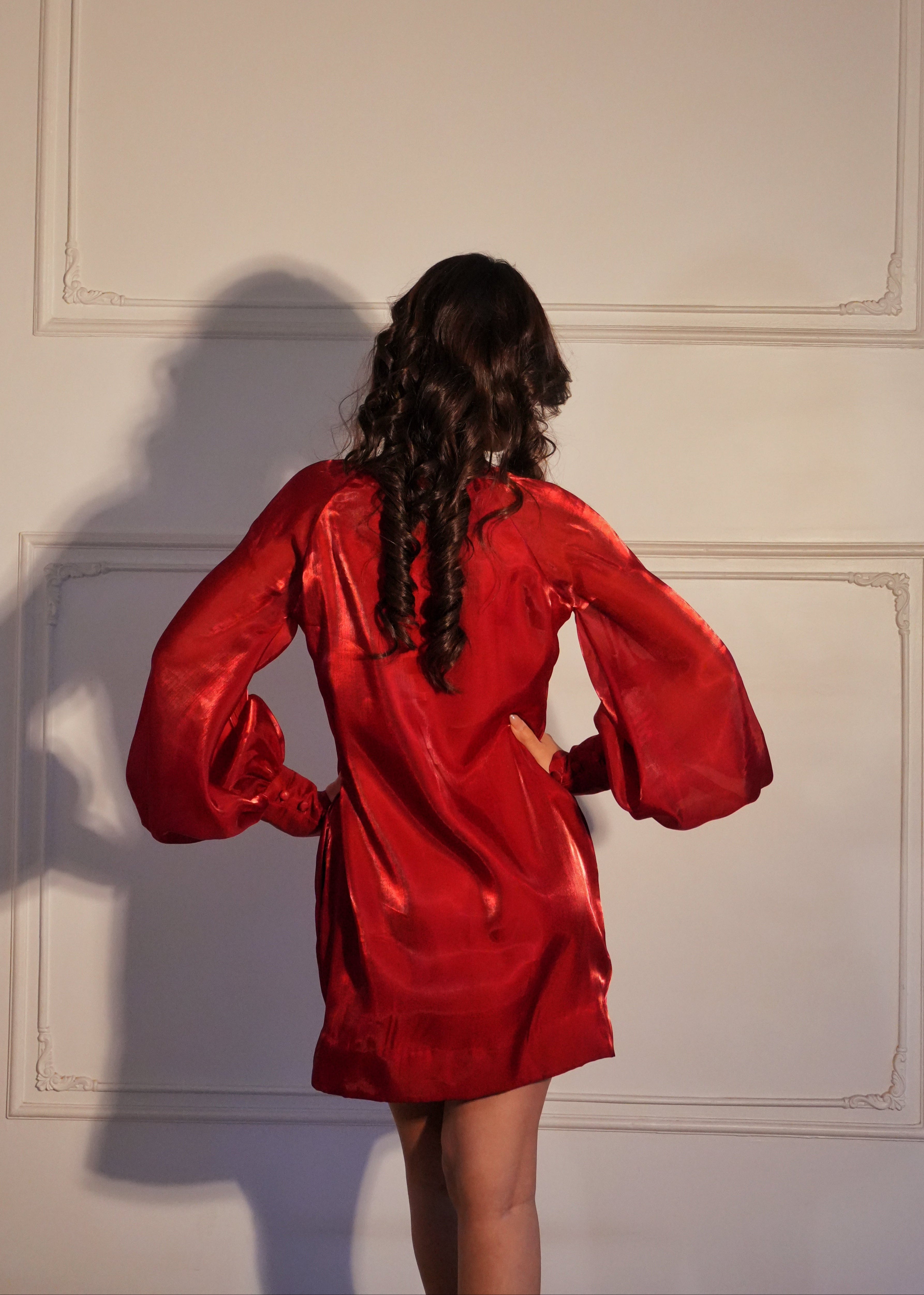 Nancy Red Organza Dress
