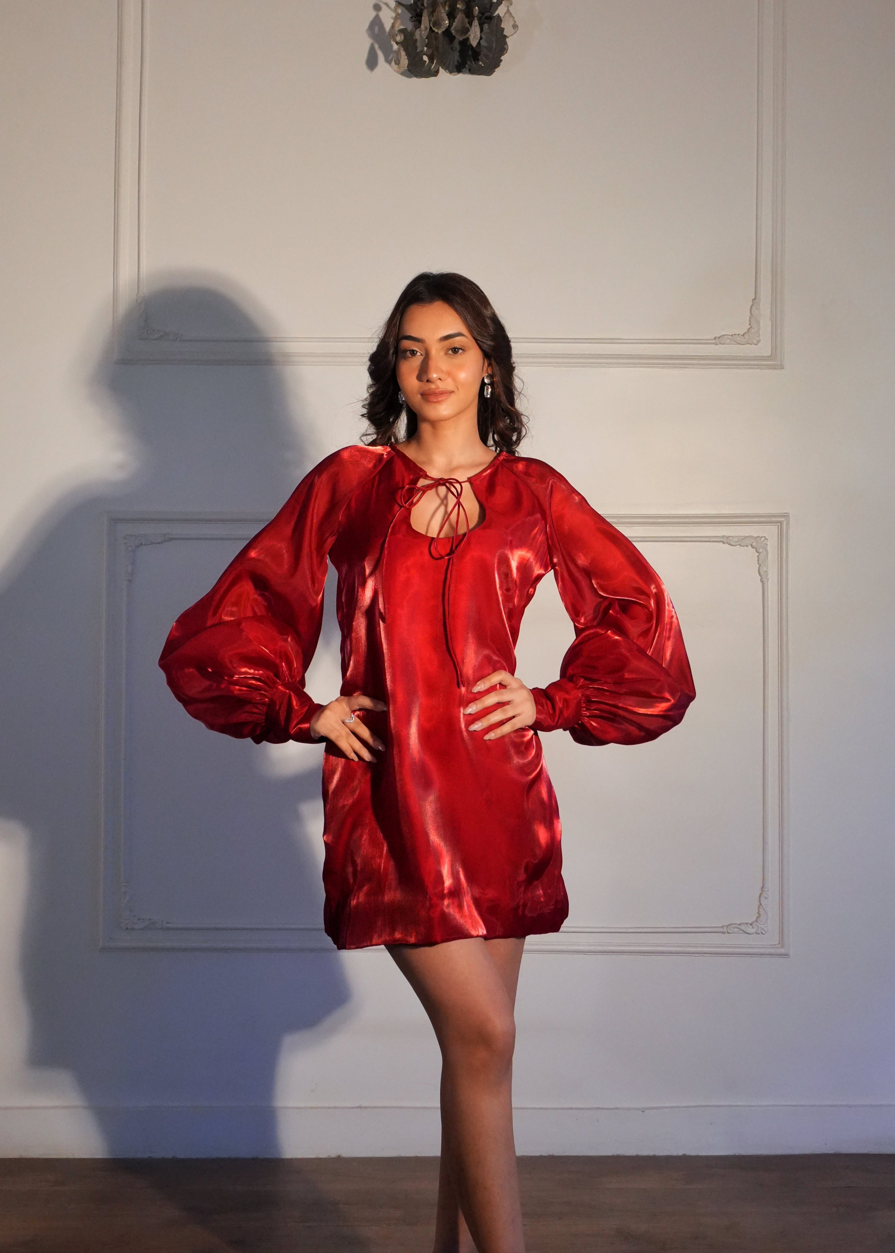 Nancy Red Organza Dress