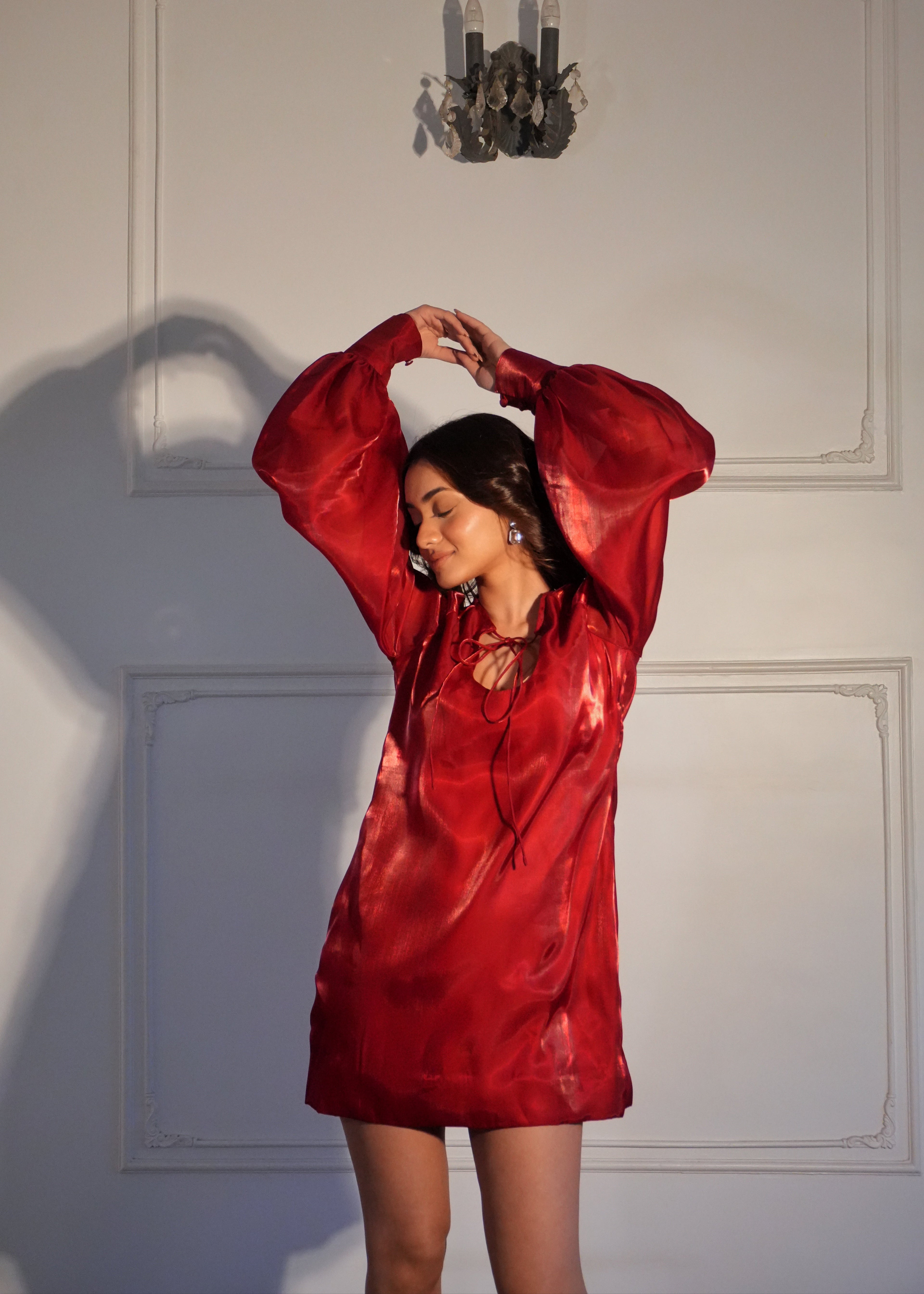 Nancy Red Organza Dress